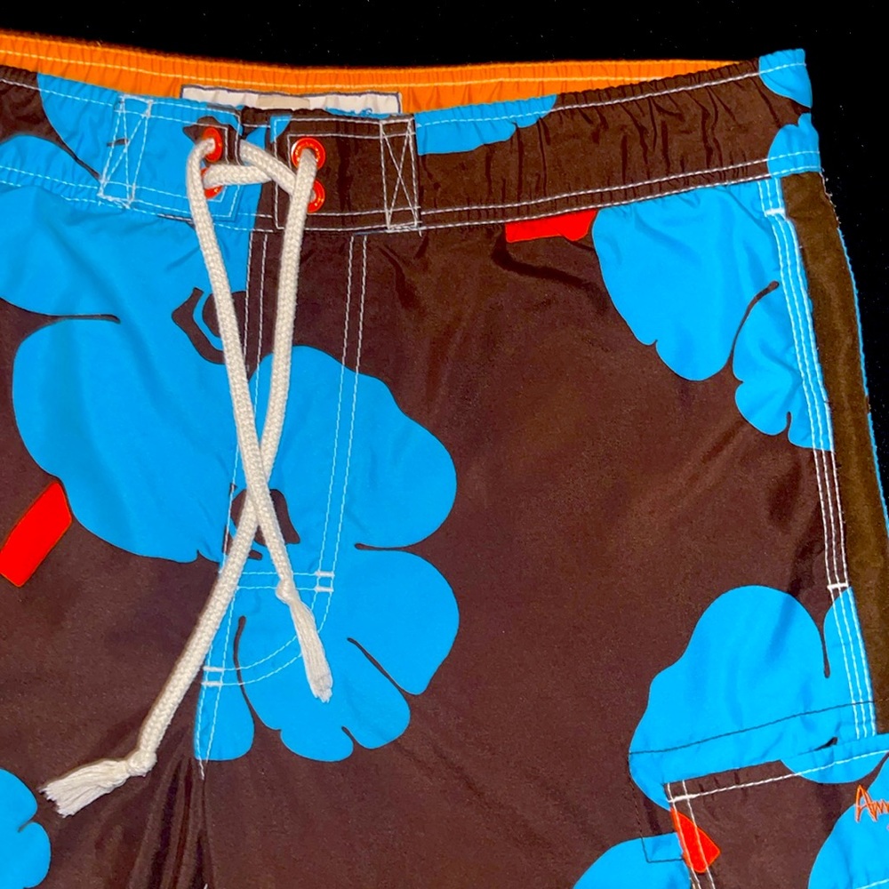 American Eagle Swim Shorts - Picture 2 of 5